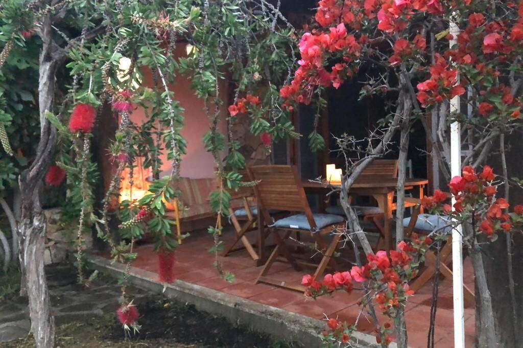 Villetta La Cinta 圣特奥多罗 外观 照片